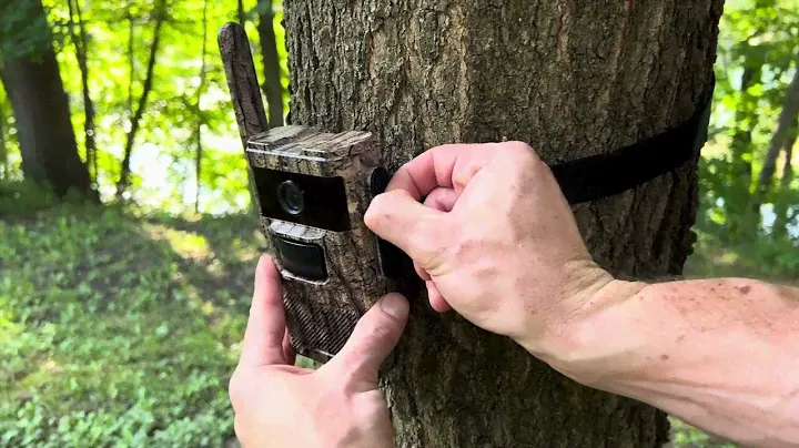 Deer Trail Camera 4G Cellular Trail Cameras 2K Live Feed, Night Vision Motion Activated Waterproof